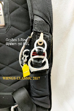 WIINGS CLASSIC 2017